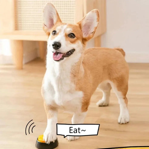 Perro presionando un botón grabable